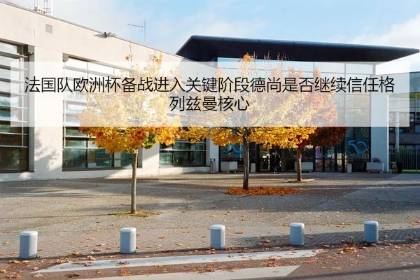 法国队欧洲杯备战进入关键阶段德尚是否继续信任格列兹曼核心
